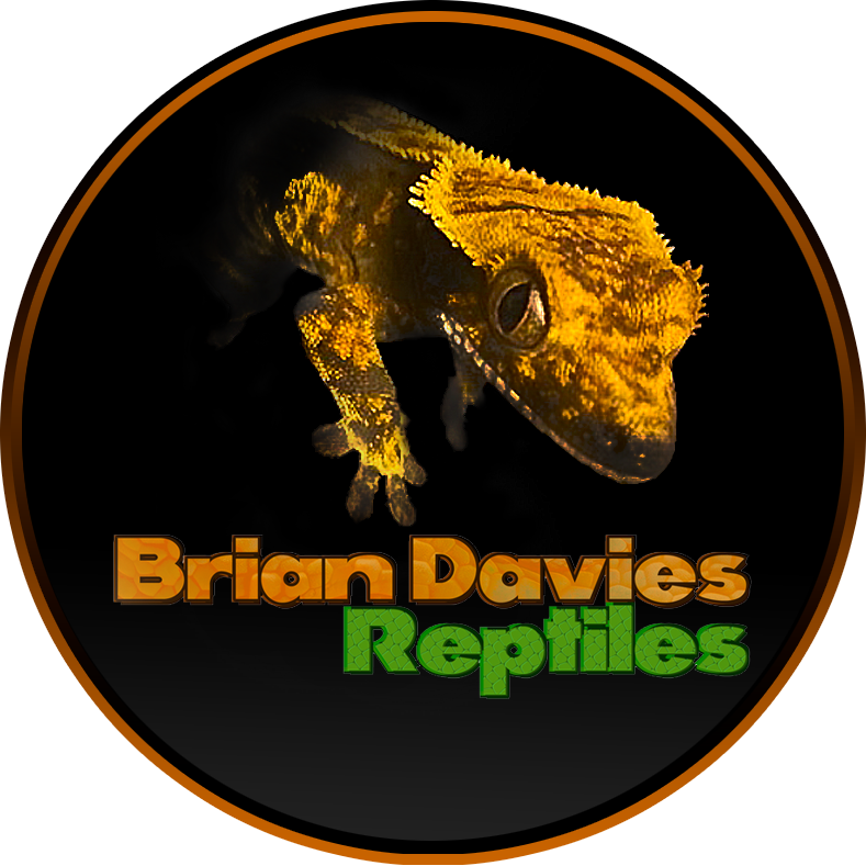 Brian Davies Reptiles